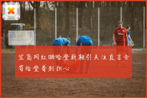宝岛网红晒哈登新鞋引关注直言会寄给登哥别担心