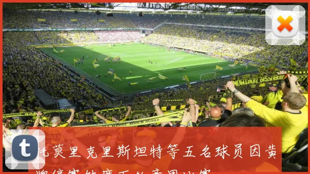 托莫里克里斯坦特等五名球员因黄牌停赛缺席下轮意甲比赛