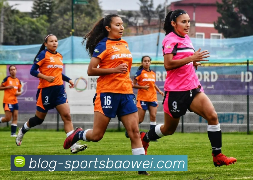 多媒体互动体验